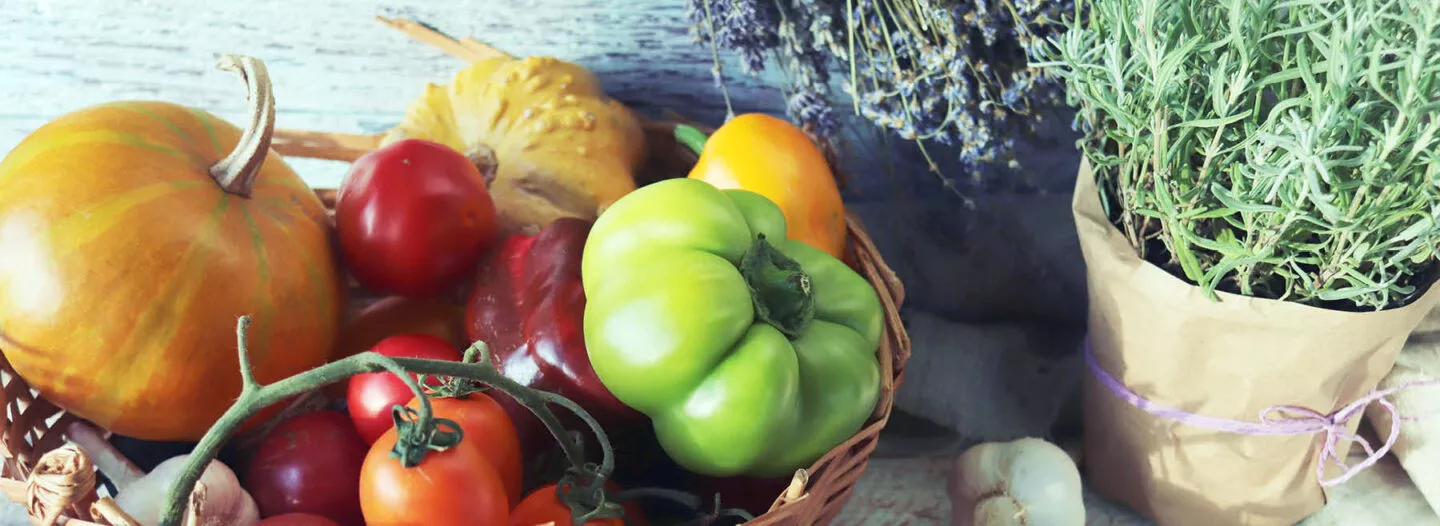 Gemüse, welches im Spätsommer und Frühherbst Saison hat: Tomaten, Kürbisse, Paprika und mehr in einem Korb.