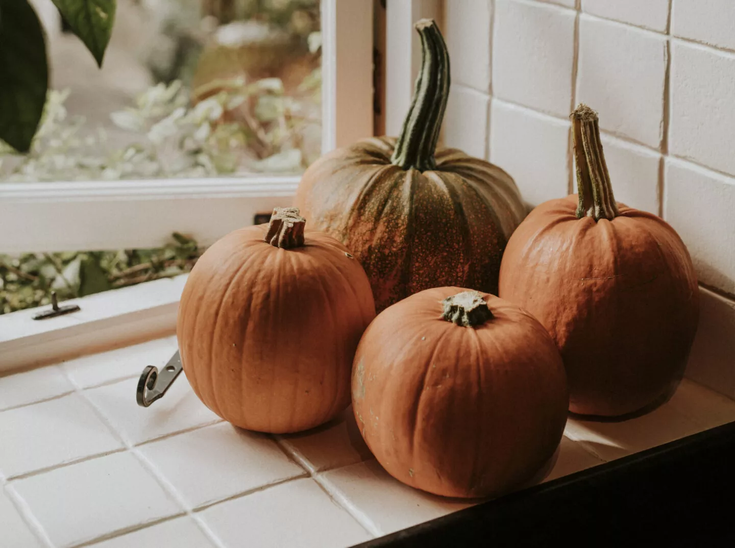 Herbstliche Küchendeko mit vier Kürbissen auf einer hellen Fensterbank – natürliche Inspiration für eine gemütliche und saisonal gestaltete Küche.